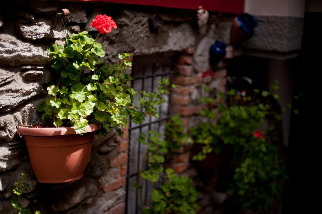 Malonno B&B Il Pettirosso المظهر الخارجي الصورة