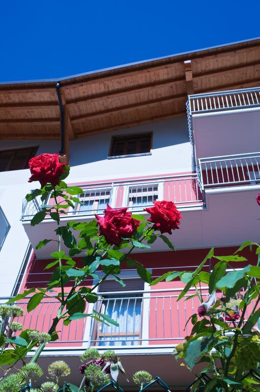 Malonno B&B Il Pettirosso المظهر الخارجي الصورة